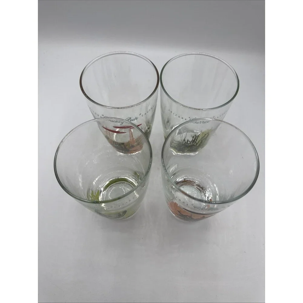 Blakely Oil Arizona Cactus Tumblers Set 4 Cholla Saguaro Barrel Prickly